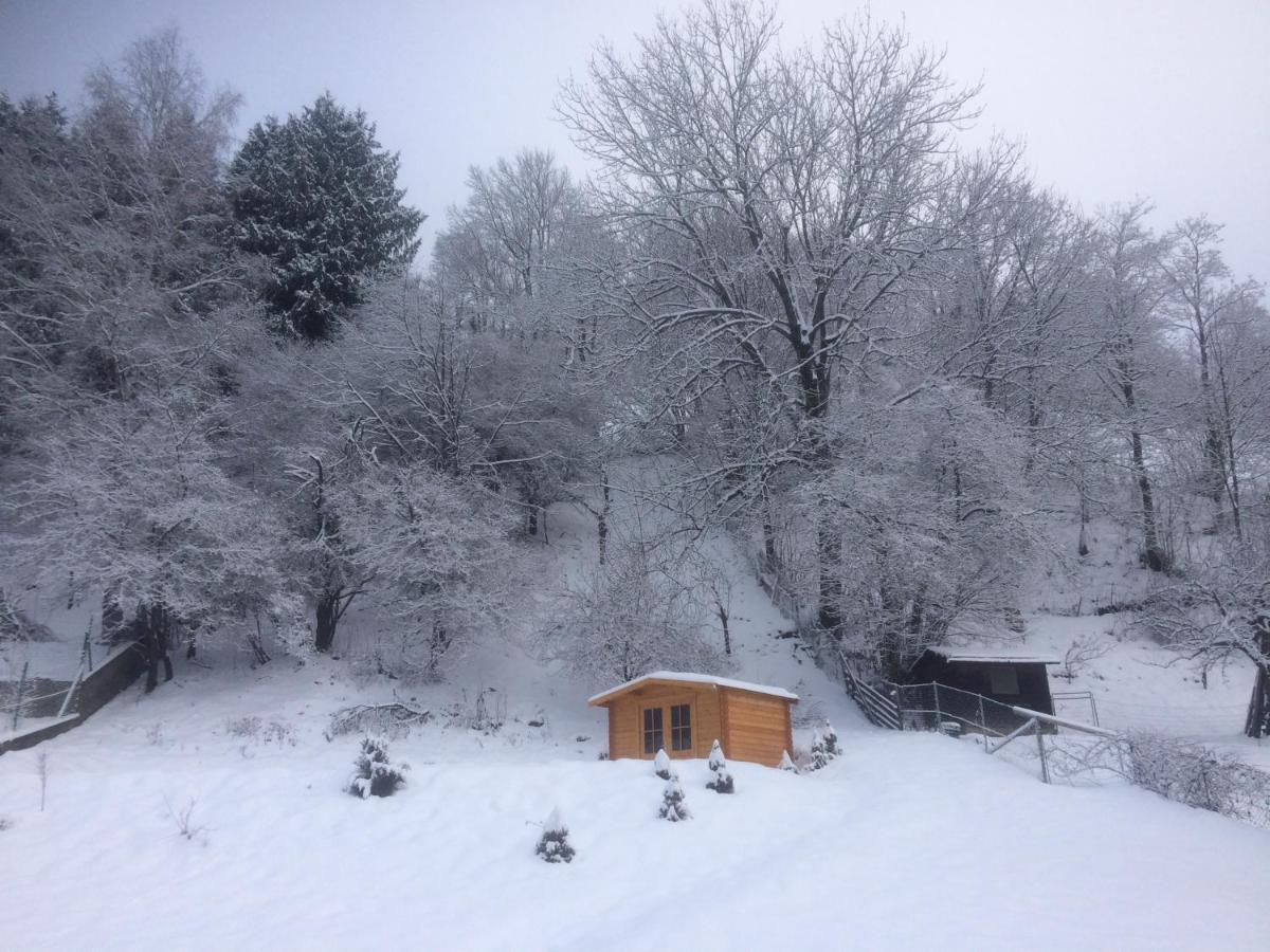 Haus Georgi Villa Sankt Lorenzen ob Murau Bagian luar foto